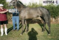 �ǹ����� (SILVER MAGIC) ����