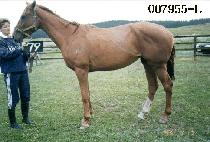 ���� (DAETONG) ����