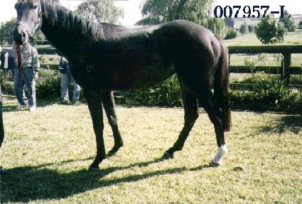 ������ǳ ����