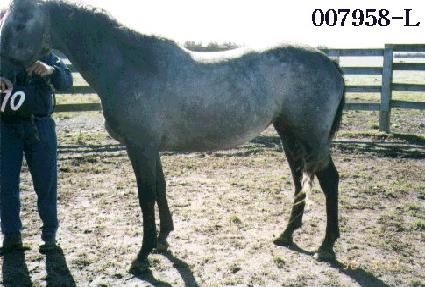 �ݶ��� ����