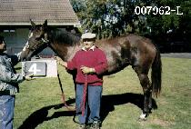 �ݱ� (GEUMGWANG) ����