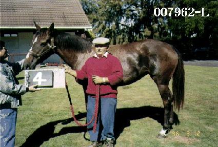 �ݱ� ����