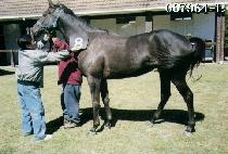 �ʸ��� (TTOL MANG YI) ����