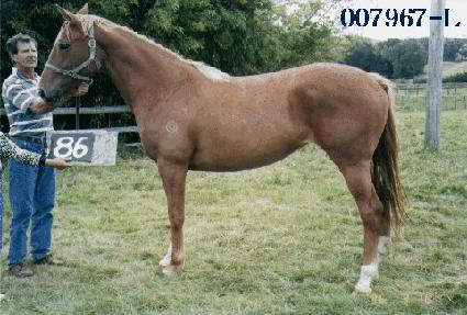 õ����ȭ ����