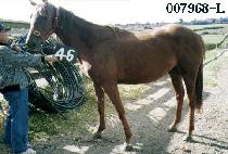 ������ (NAKSEONGDAE) ����