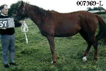 ������ (GWANGNANE) ����