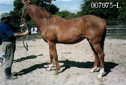 ��õ��� ����