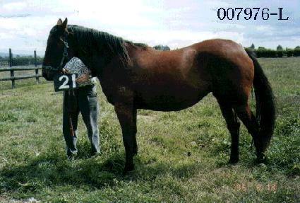 �ö���Ʈ ����