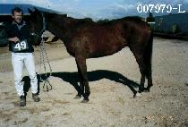 �ܼ����丣 (CONSERVATOIRE) ����