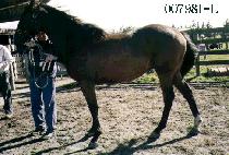 ����� (JANGDAEHAN) ����