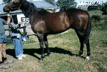 ���� (NAMGWANG) ����