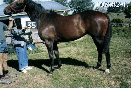 ���� ����