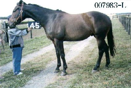 ��ݰ� ����