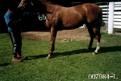 ����ũ�� ����