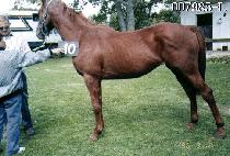 ����� (DAEWOONGSEONG) ����