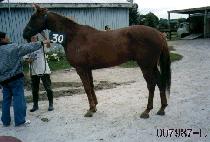 ȭ�̾����� (FIRE AWAY) ����