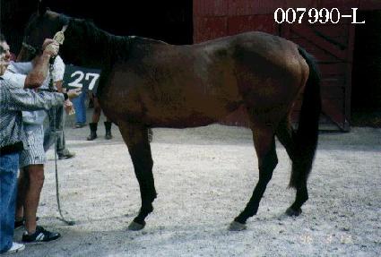 �򸶿�ƾ ����