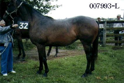 ���ڿ� ����