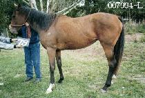 Ÿ��ų�� (TIME KILLER) ����