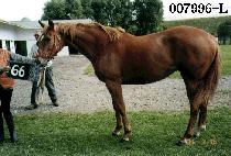 ����絹�� (YESAN RUDOLF) ����