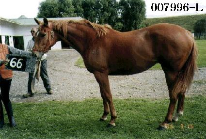 ����絹�� ����