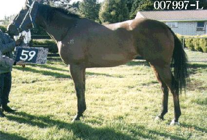 Ű�� ����