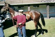 â�� (CHANGJO) ����