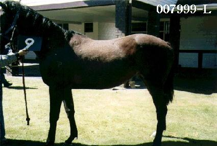 ��Ƽ�� ����