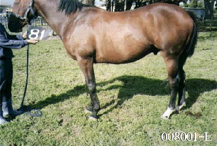 ���Ѵ� ����