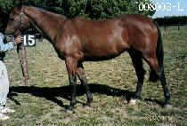 ��Ư�� (YEONGTEUKAN) ����