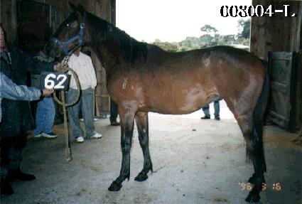 ����۷� ����