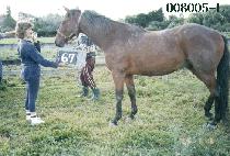 �ݵ� (GEUMDON) ����