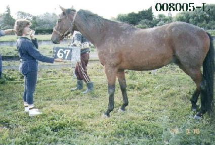 �ݵ� ����