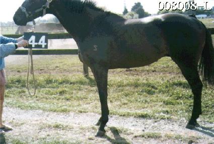 ��ǳ ����