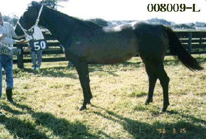 �⸰�� ����