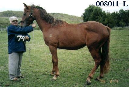 ������ ����