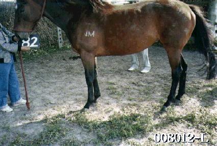 �¶� ����