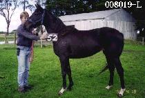 ����� (DAEGONGGYEOK) ����