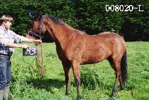 �������� (SEONDU JILJU) ����