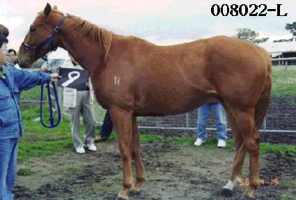 ��ȥ ����