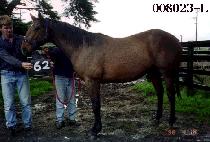 �ݰ��� (GEUMGANGSEOK) ����