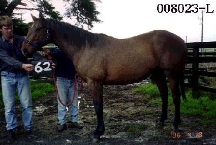 �ݰ��� ����