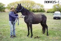 ���Ǽ��� (HAPPY SEOUL) ����