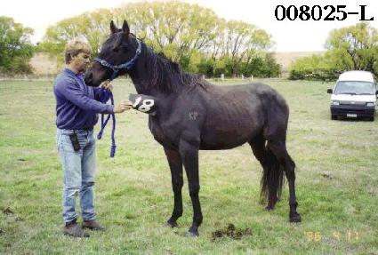 ���Ǽ��� ����