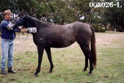 ���˻� ����