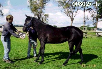 ���� ����