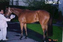 ���Ӻ��� (GOSOK BIHAENG) ����