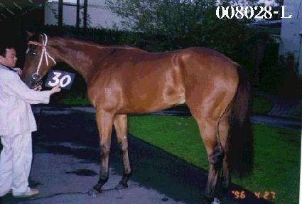 ���Ӻ��� ����