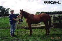 ����ȭ�� (MOJEL FINE) ����