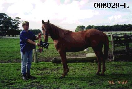 ����ȭ�� ����